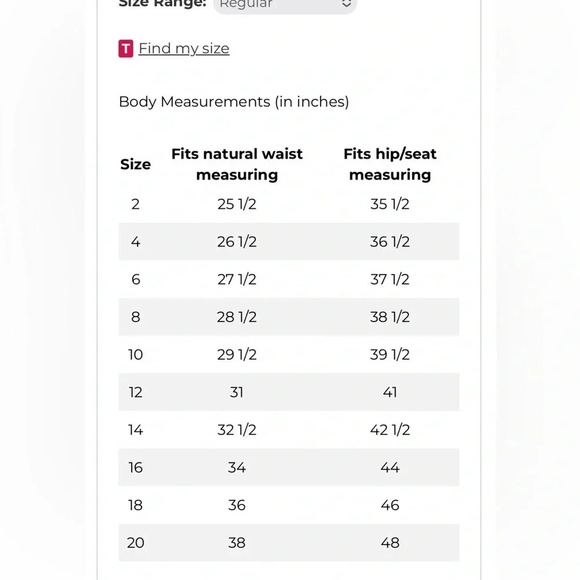 L.L Bean UPF 50+ Charcoal Gray Hiking Shorts Size 10 Women - Picture 2 of 10